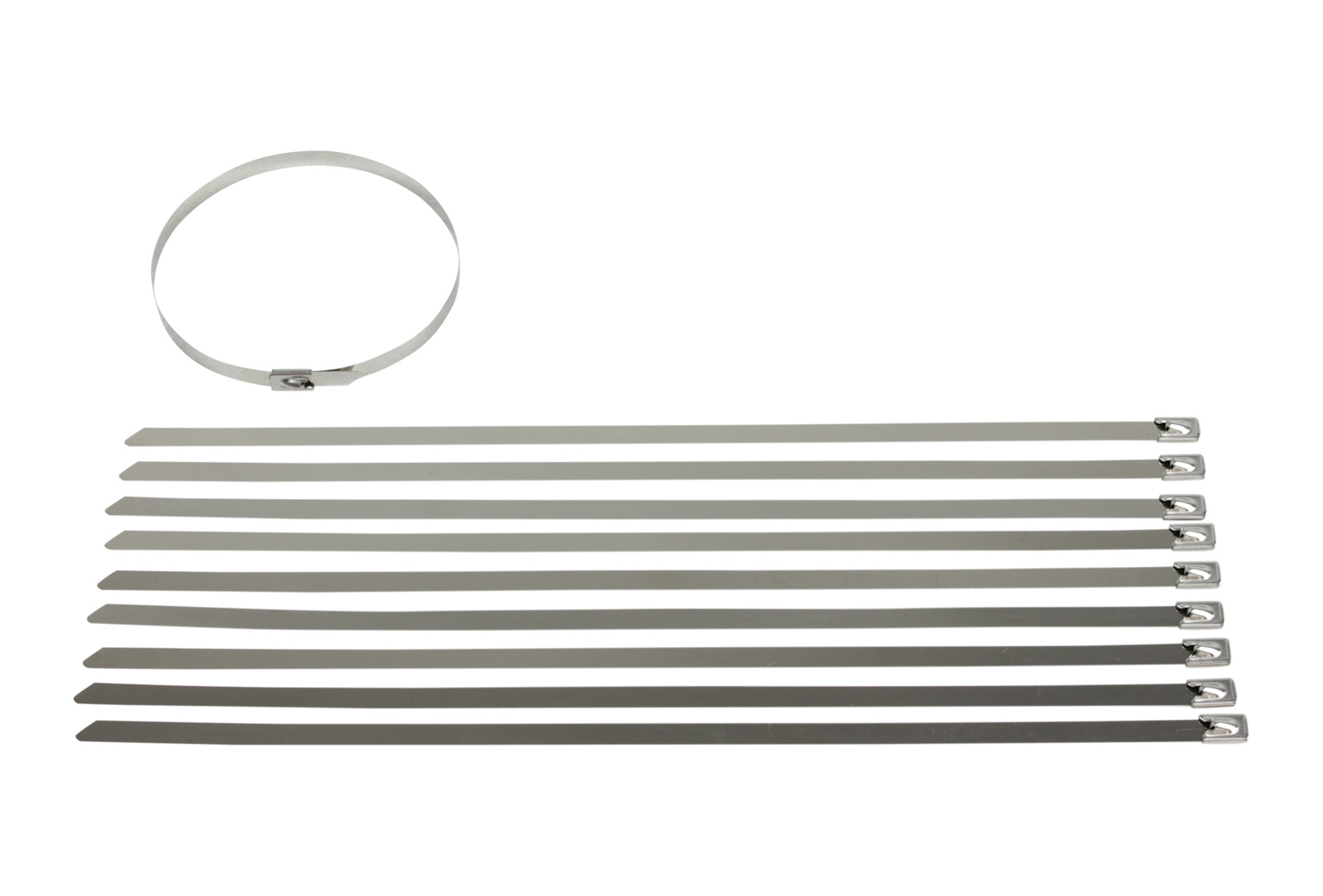 Stainless Steel Cable Ties - 10 Pack (350mm x 8mm) image