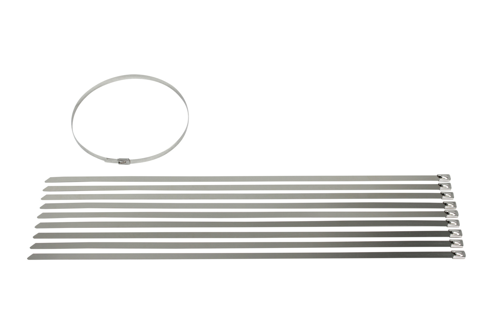 Stainless Steel Cable Ties - 10 Pack (450mm x 8mm) image
