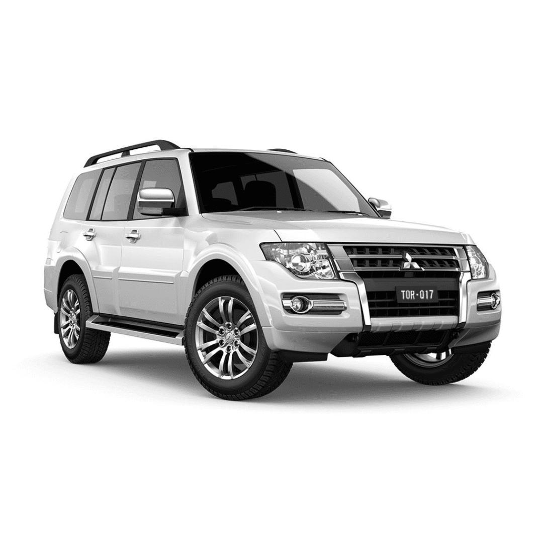 Torqit NX Pajero 3.2L 11/2013… DPF